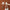 Porte manteaux mural oiseau en bois blanc 1 crochet entree